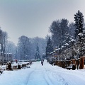 Zasněžený park