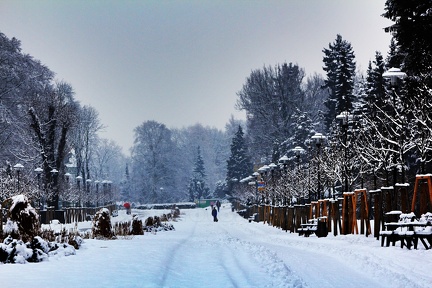 Zasněžený park