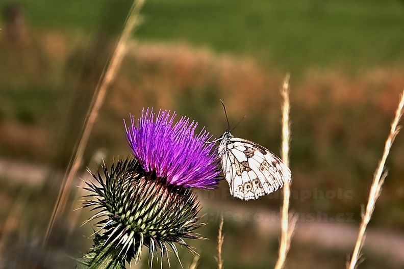 _MG_2559_00_ToneMapping.jpg