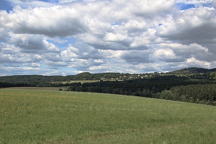 Výlet do lesů nad Hlubočkami