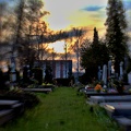 Neředínský hřbitov při západu slunce