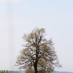 Šifrová jeskyně, zatopený lom, Caesar