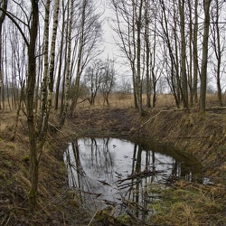 Vojenský prostor Libavá - rozpadlý kostel, tankový brod