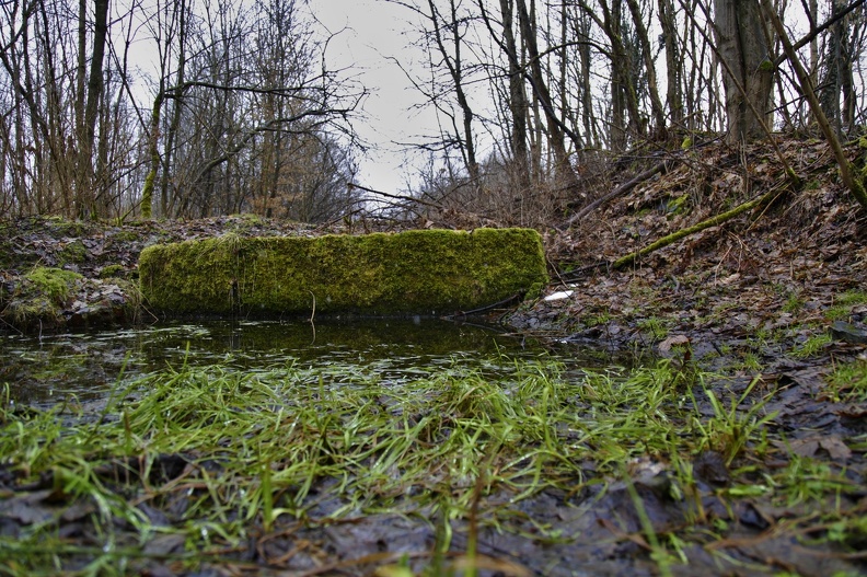 Vojenský prostor Libavá - rozpadlý kostel Jestřabí, tankový brod Čermná