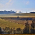 Veveří (Huzová) - pozůstatky pozdně barokní kaple svatého Jeronýma z roku 1791